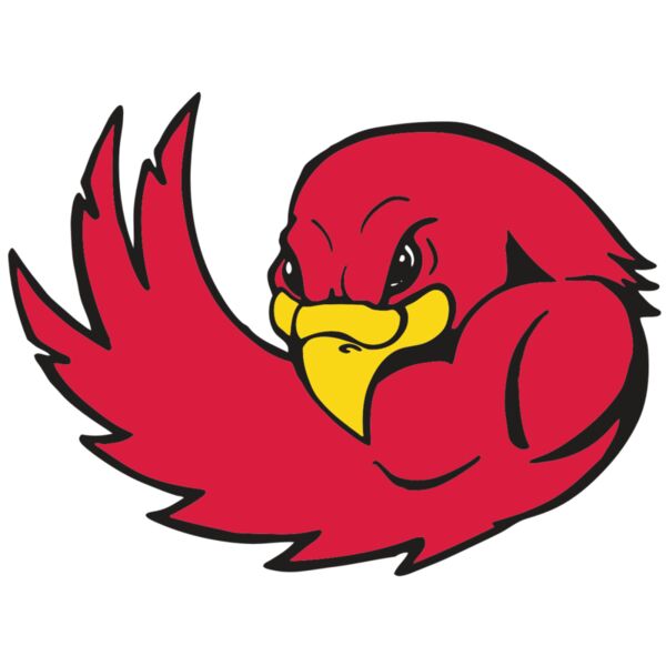 AR FALCON 18 RC Thumbnail